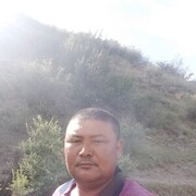  ,  , 41