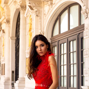 ���������� ���������, ���� ������� �������, 40 ���, ������������ ��� ������, ����� � ���������, c�������� ���������