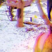 ���������� ����������, ���� ������� �����, 26 ���, ������������ ��� ������, ����� � ���������