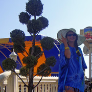 ���������� �����, ���� ������� ��������, 43 ����, ������������ 