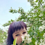 ���������� ����������, ���� ������� ���������, 42 ����, ������������ ��� c�������� ���������