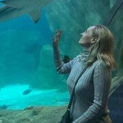 ���������� �����-���������, ���� ������� ������, 51 ���, ������������ ��� ������, ����� � ���������