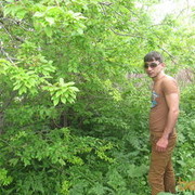  ,   Vardan, 36 ,     , c 
