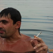  ,   , 43 ,   