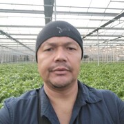  ,  , 42