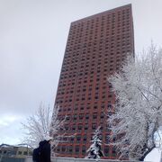 ���������� ������, ���� ����� ������, 24 ����, ������������ ��� ������, ����� � ���������, c�������� ���������