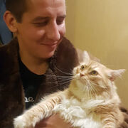 ���������� ������, ���� ������� ����, 33 ����, ������������ ��� ������, ����� � ���������, c�������� ���������, ���������