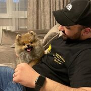 ���������� ������, ���� ������� �����, 31 ���, ������������ ��� ������, ����� � ���������, ���������