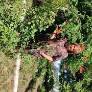  ,   , 65 ,   ,   , c , 