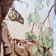 ���������� �����������, ���� ������� Alesya, 35 ���, ������������ 