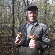   ,   , 63 ,   ,   