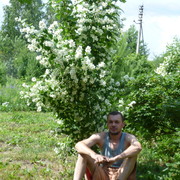 ���������� ������, ���� ������� ������, 40 ���, ������������ ��� ������, ����� � ���������, c�������� ���������