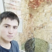  -,   , 31 ,   ,   , c 