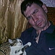  ,   , 52 ,  