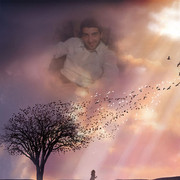 ���������� ������, ���� ������� PAUK, 40 ���, ������������ ��� ������