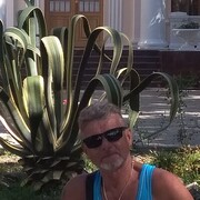  ,   , 65 ,   ,   
