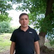 ���������� �����������, ���� ������� ���������, 44 ����, ������������ ��� ������