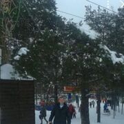 ���������� ��������, ���� ������� ������, 44 ����, ������������ ��� ������, ����� � ���������