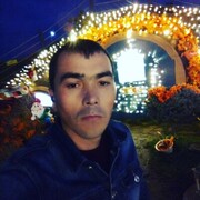  --,   , 34 ,   ,   