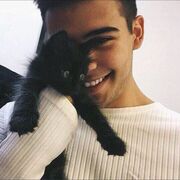 ���������� ���������, ������� ������, 40