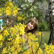  ,   Lusi, 39 ,   ,   , c 