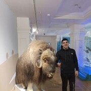 ���������� �������, ���� ������� �����, 30 ���, ������������ ��� ���������