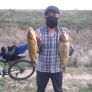  ,   , 47 ,     
