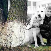 ���������� �����, ���� ������� Solomon, 38 ���, ������������ ��� ������, ����� � ���������, c�������� ���������