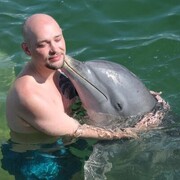 ���������� ���������, ���� ������� ���������, 33 ����, ������������ ��� ������, ����� � ���������, c�������� ���������