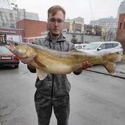 ���������� �����-���������, ���� ������� �����, 30 ���, ������������ ��� ������, ����� � ���������, c�������� ���������