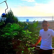 ���������� ���������, ���� ������� �����, 37 ���, ������������ ��� ������, ����� � ���������