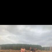   ,   , 40 ,   ,   , c 