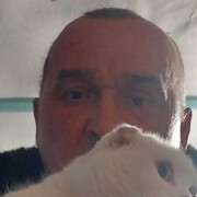  ,   , 52 ,   ,   