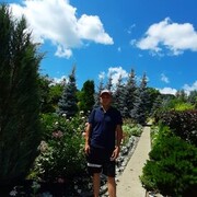 ���������� �����, ���� ������� �������, 44 ����, ������������ ��� ������, ����� � ���������, c�������� ���������