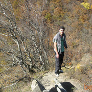 ���������� �������, ���� ������� Guri, 38 ���, ������������ ��� ������