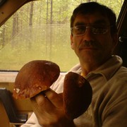 ���������� ����������, ���� ������� ����, 61 ���, ������������ ��� ����� � ���������, c�������� ���������