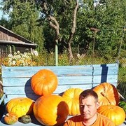  -,   , 45 ,   ,   