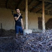  ,  Shohruh, 27