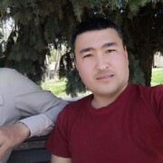  ,   Egizaklar, 31 ,   ,   