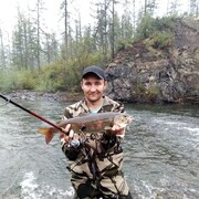 ���������� ����, ���� ������� �������, 43 ����, ������������ ��� ������, ����� � ���������, c�������� ���������, ���������