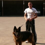 ���������� �������, ���� ������� �����, 38 ���, ������������ ��� ������, ����� � ���������, c�������� ���������