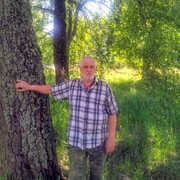 ���������� ��������, ���� ������� ������, 61 ���, ������������ ��� ������, ����� � ���������