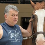 ������ �������