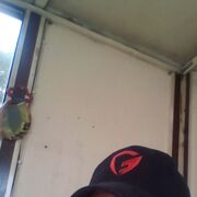  ,   , 51 ,   c 