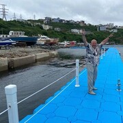 ���������� �����������-��-�����, ���� ������� �������, 48 ���, ������������ ��� ����� � ���������, c�������� ���������