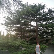 ���������� ������, ���� ������� �������, 49 ���, ������������ ��� ����� � ���������, c�������� ���������, ���������