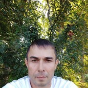  ,   Zagit, 43 ,   , 