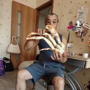 ���������� ����, ���� ������� ����������, 56 ���, ������������ ��� ������, ����� � ���������