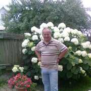  ,   , 59 ,   