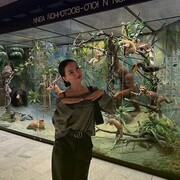 ���������� �������, ����